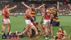 AFL thriller chose by icy last-second umpiring choice that goes in favour of Sam Draper