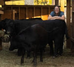 Canadian farmers take safetymeasures as bird influenza breakouts hit U.S. dairy livestock