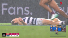 Geelong superstar Tom Stewart ruled out after suffering a concussion versus Lions