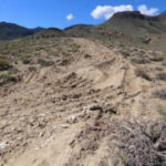 UnitedStates advances evaluation of Nevada lithium mine amidst issues over threatened wildflower