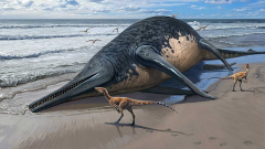 Researchers exposed what might be the biggest understood marine reptile