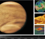 Looking for life beyond Earth? Venus as a prospective environment