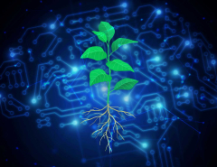 AI assists researchers engineer plants to battle environment modification