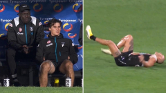 Port Adelaide counting the expense of injury toll throughout win over St Kilda