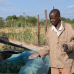 African farmers appearance to the past and the future to address environment modification