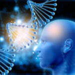Knowing problem gene straight impacts memory, researchstudy discovers