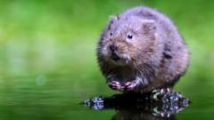 Water voles to advantage from £25m landscapes plan