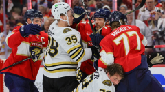 Videogame 3: Florida Panthers vs Boston Bruins, TV Channel, Free Live Stream