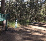 Young female supposedly assaulted on Cockatoo Trail in Brisbane’s Mt Coot-tha