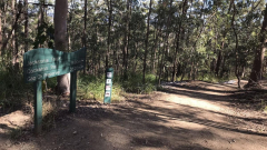 Young female supposedly assaulted on Cockatoo Trail in Brisbane’s Mt Coot-tha
