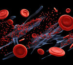 Researchers determined genes that drive age-related blood cell anomalies