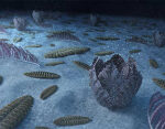 Stirring advancement: How Earth’s ancient sea animals shaped modification