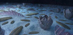Stirring advancement: How Earth’s ancient sea animals shaped modification