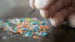 Researchers spotted 23 types of microplastics in the testicular tissue