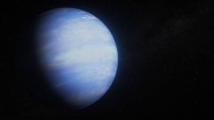 Checkingout the strange case of the Inflated Exoplanet