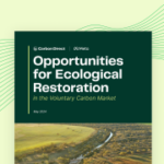 Opportunities for Ecological Restoration on the Voluntary Carbon Market