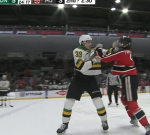 A Canadian Hockey League battle was recorded by a videocamera individual on the ice and the outcome is so cool