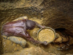 10s of billions of dollars in gold streams unlawfully out of Africa each year, a brand-new report states