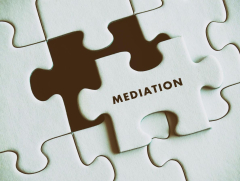 Enhancing Franchisors’ And Franchisees’ Mediation Experience By Improving On Mediators’ And Counsels’ Execution