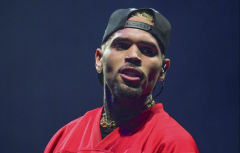 Chris Brown Fan Has The Innanet Wondering If She REALLY Ctube His Concert Over Being Engaged! 