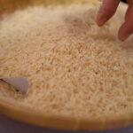 Rice auction bringsin crowds of exporters