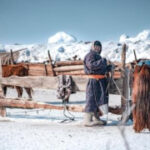 Heavy snows and dryspell of fatal ‘dzud’ kill more than 7 million head of animals in Mongolia