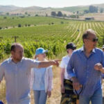 Ukrainian winemakers goto California’s Napa Valley to discover how to recover war-ravaged vineyards