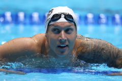 Dressel, Manuel settle for relay areas in 100 totallyfree