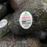 UnitedStates will slowly resume avocado examinations in conflictive Mexican state, ambassador states