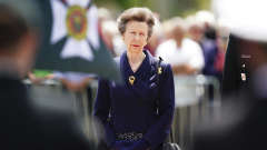 Princess Anne in healthcarefacility with small injuries and concussion after ‘incident’ on Gatcombe Park estate