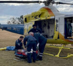 Young male seriously hurt in crash including pig while searching in Banana area of Queensland