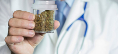 Kentucky Opens State Medical Marijuana Business Applications
