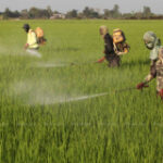 B30bn fertiliser aid strategy raises concerns