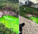 Council lookingfor to recognize intense green liquid that gushed onto Gold Coast’s Palm Beach