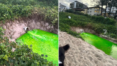 Council lookingfor to recognize intense green liquid that gushed onto Gold Coast’s Palm Beach