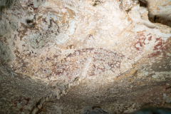 World’s earliest cavern painting discovered in Indonesia