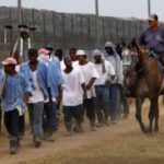 As temperaturelevels skyrocket, judge informs Louisiana to aid secure detainees working in fields