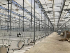 North Dakota people goes back to its roots with a enormous greenhouse operation