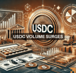 USDC volume rises to $23B in 2024: What are the factors behind the increase?