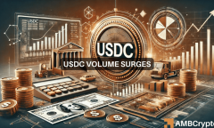 USDC volume rises to $23B in 2024: What are the factors behind the increase?