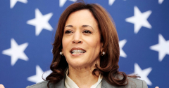 Democrats stick to prepares for early election as Harris combines assistance