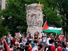 The pro-Palestinian trainee motion is alive and well
