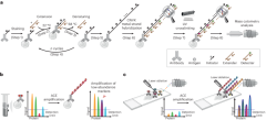 Signal amplification by cyclic extension enables high-sensitivity single-cell mass cytometry