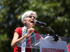 UnitedStates prospect Jill Stein thinkingabout vocal Palestine supporters for VP area