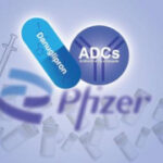 Pfizer CEO on moving beyond COVID vaccines to endedupbeing a leader in cancer and weightproblems treatments