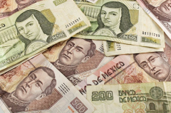 Mexican Peso captures a trip after US CPI cools