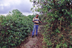 The Human Cost of Coffee: Rescuing servant employees in Brazil’s farms