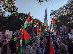 ‘There’s absolutelynothing to commemorate’: Gaza demonstrations continue around DNC