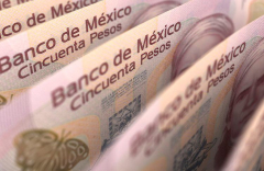 Mexican Peso holds strong as Mexican Congress takes workplace