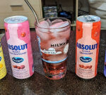 Canned Cocktail of the Week: Absolut + Ocean Spray simply makes too much dang sense